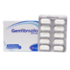 Imagen de GEMFIBROZILO 600MG CAJA *20 TAB