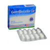 Imagen de GEMFIBROZILO 600MG CAJA * 20 TABS